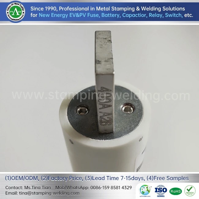 Ceramic Cylinder Cap Fuse Cap