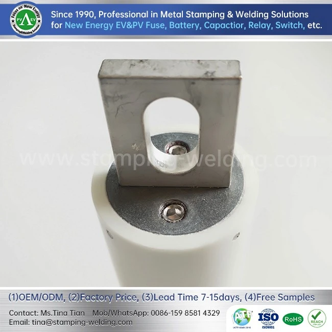 Ceramic Cylinder Cap Fuse Cap